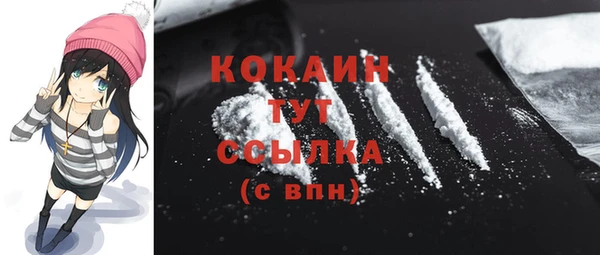 ПСИЛОЦИБИНОВЫЕ ГРИБЫ Верея