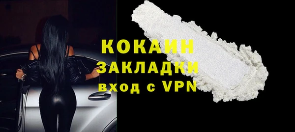 ПСИЛОЦИБИНОВЫЕ ГРИБЫ Верея
