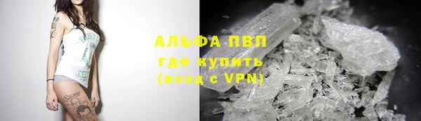 ПСИЛОЦИБИНОВЫЕ ГРИБЫ Верея