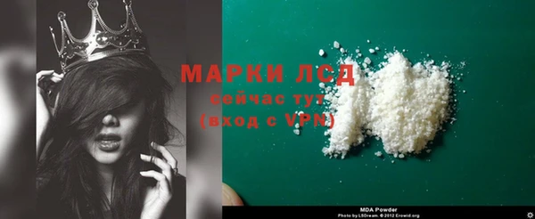ПСИЛОЦИБИНОВЫЕ ГРИБЫ Верея
