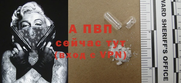 спиды Волосово